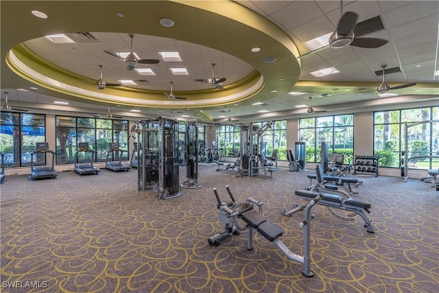 6848 Winding Cypress Dr, Naples, FL 34114 - workout area featuring a tray ceiling, a drop ceiling, carpet, and ceiling fan