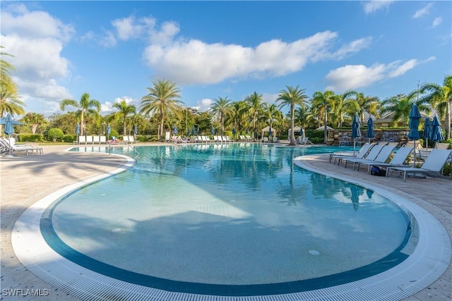 6848 Winding Cypress Dr, Naples, FL 34114 - community pool featuring a patio area