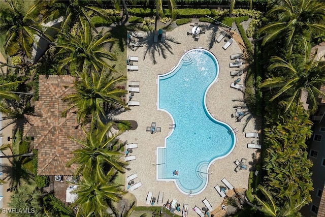 3160 Serena Ln Unit 202, Naples, FL 34114 - photo 34