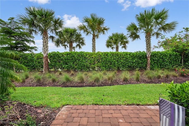 15234 Tolmino St, Naples, FL 34114 - photo 36