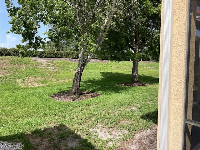 10427 Carolina Willow Dr, Fort Myers, FL 33913 - view of green lawn