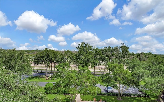380 Horse Creek Dr Unit 401, Naples, FL 34110 - photo 33