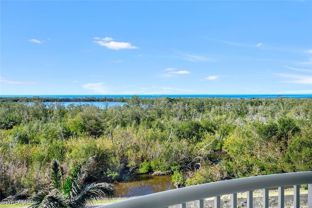 6849 Grenadier Blvd Unit 505, Naples, FL 34108 - photo 1