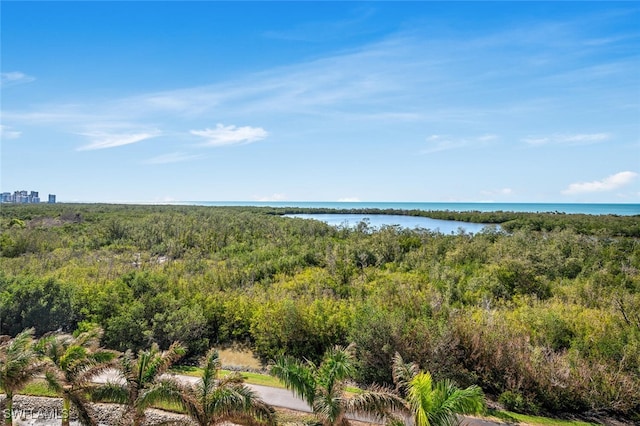 6849 Grenadier Blvd Unit 802, Naples, FL 34108 - photo 2