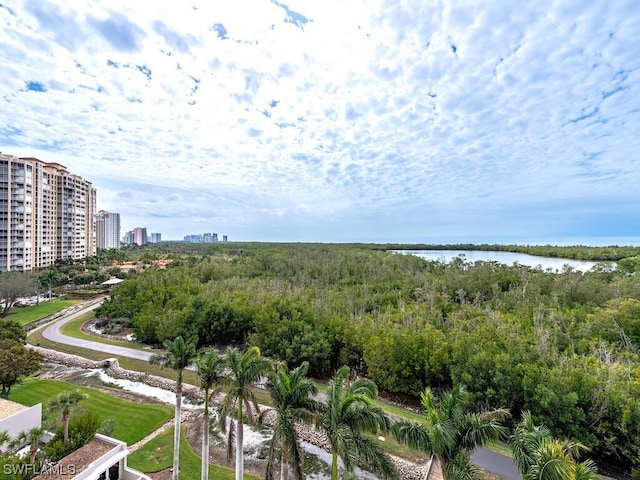 6849 Grenadier Blvd Unit 802, Naples, FL 34108 - photo 3
