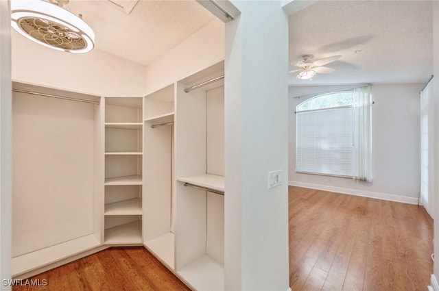 74 Silver Oaks Cir Unit 9-202, Naples, FL 34119 - walk in closet with wood finished floors and ceiling fan