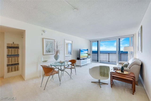 180 Seaview Ct Unit 607, Marco Island, FL 34145 - photo 11
