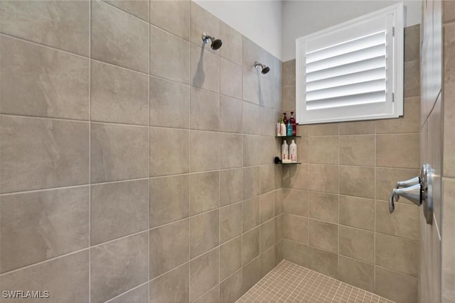 15889 Cranes Marsh Ct, Punta Gorda, FL 33982 - bathroom featuring tiled shower