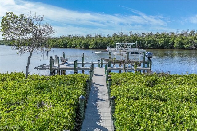 14651 Jonathan Harbour Dr, Fort Myers, FL 33908 - photo 7