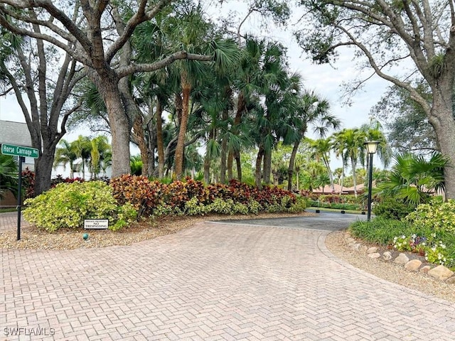 3219 Horse Carriage Way Unit 306, Naples, FL 34105 - photo 30