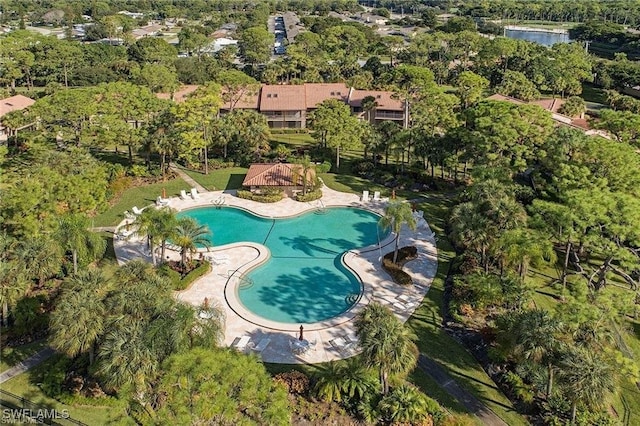 3219 Horse Carriage Way Unit 306, Naples, FL 34105 - photo 28
