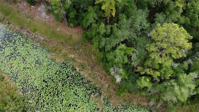 7176 Norway St, Webster, FL 33597 - photo 8