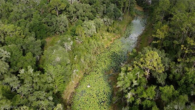 7176 Norway St, Webster, FL 33597 - photo 10