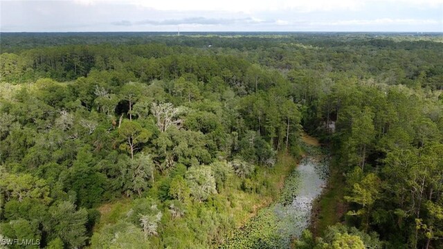 7176 Norway St, Webster, FL 33597 - photo 11