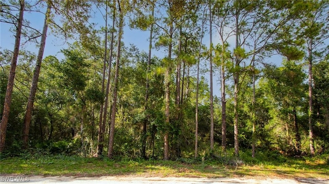 7176 Norway St, Webster, FL 33597 - photo 1