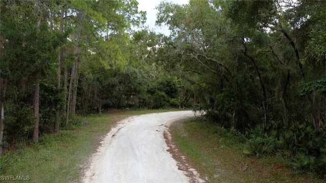 7176 Norway St, Webster, FL 33597 - photo 5