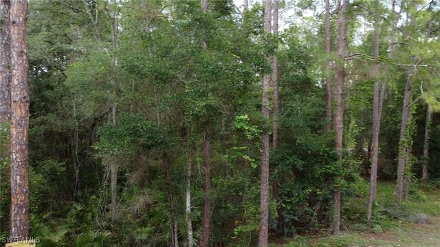 7176 Norway St, Webster, FL 33597 - photo 6