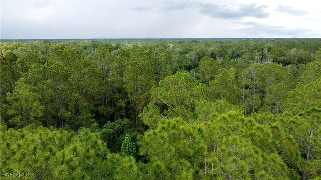 7176 Norway St, Webster, FL 33597 - photo 7