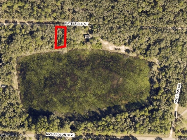 35028 Batesfield St, Webster, FL 33597