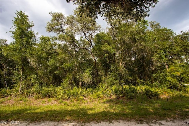 7478 N Canal St, Webster, FL 33597