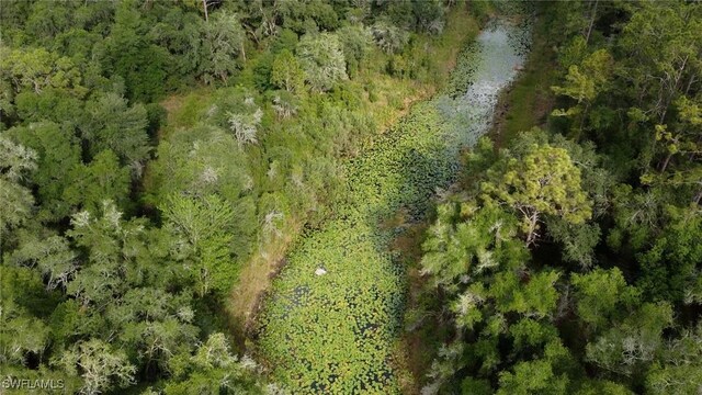 7200 Norway St, Webster, FL 33597