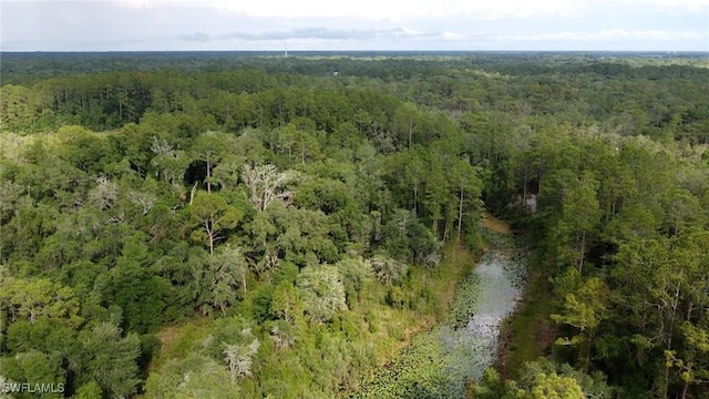 7200 Norway St, Webster, FL 33597
