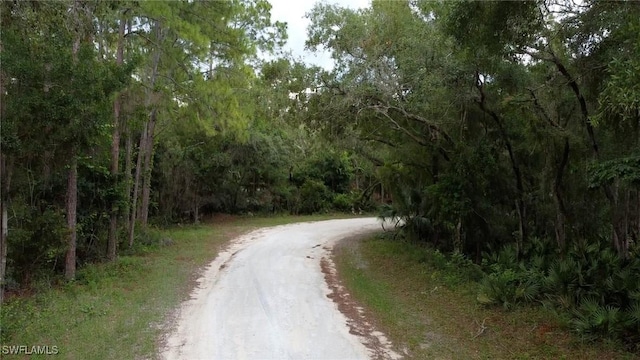 7200 Norway St, Webster, FL 33597