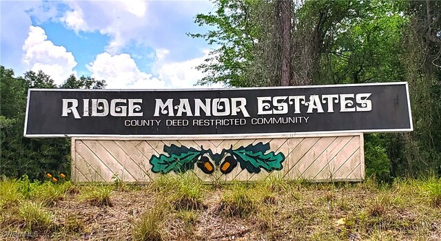 7200 Norway St, Webster, FL 33597