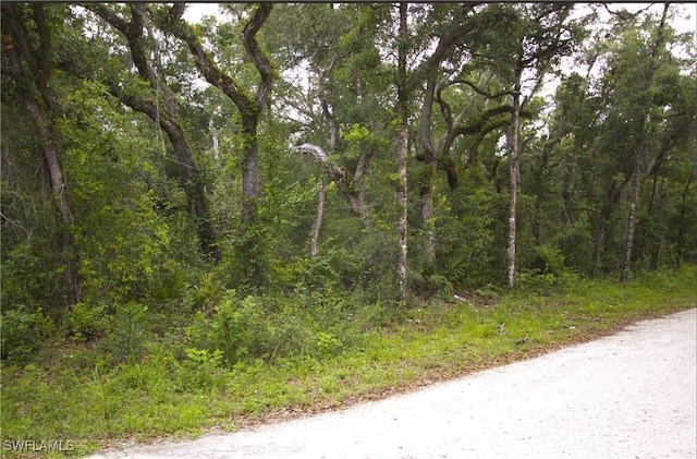 7466 NW Ave, Webster, FL 33597