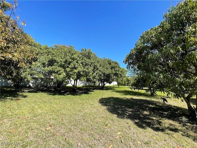 144 Carlisle Ave S, Lehigh Acres, FL 33974 - photo 43