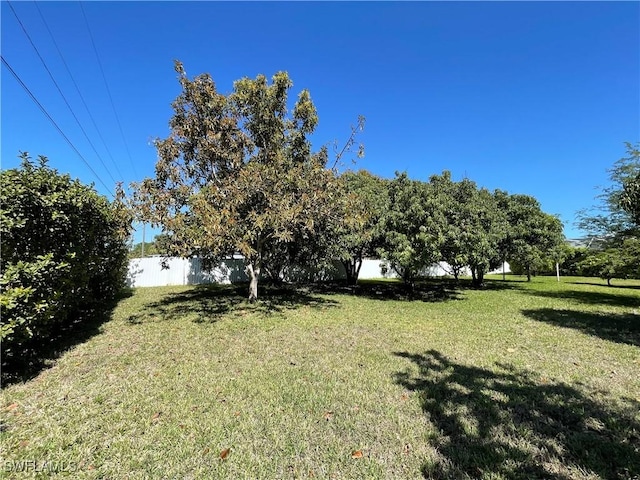 144 Carlisle Ave S, Lehigh Acres, FL 33974 - photo 44