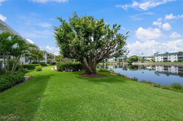 3055 Riviera Dr Unit 306, Naples, FL 34103 - view of green lawn with a water view