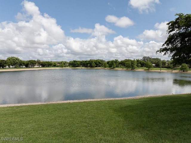 12455 Muddy Creek Ln, Fort Myers, FL 33913 - water view
