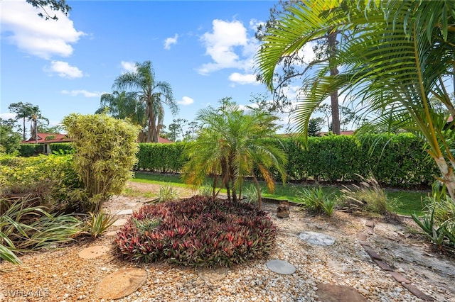 4261 Shetland Ct Unit A102, Naples, FL 34112 - photo 17