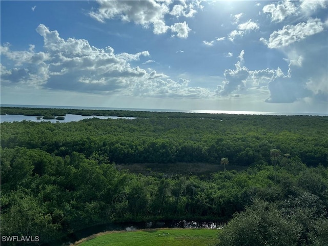 1001 Arbor Lake Dr Unit 607, Naples, FL 34110 - photo 23