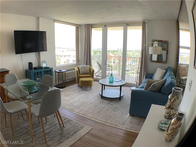7360 Estero Blvd Unit 1102, Fort Myers Beach, FL 33931 - living area featuring wood finished floors