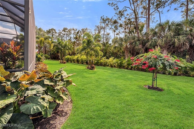 6231 Brunello Ln, Naples, FL 34113 - photo 39