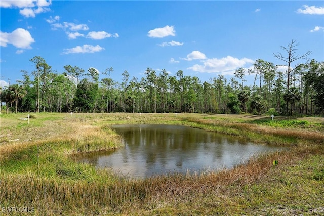 2620 Seychelles Cir Unit 1308, Naples, FL 34112 - photo 22