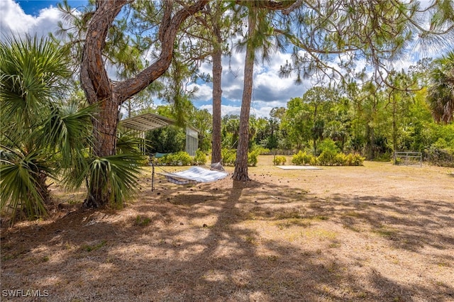 1320 21st St SW, Naples, FL 34117 - photo 34