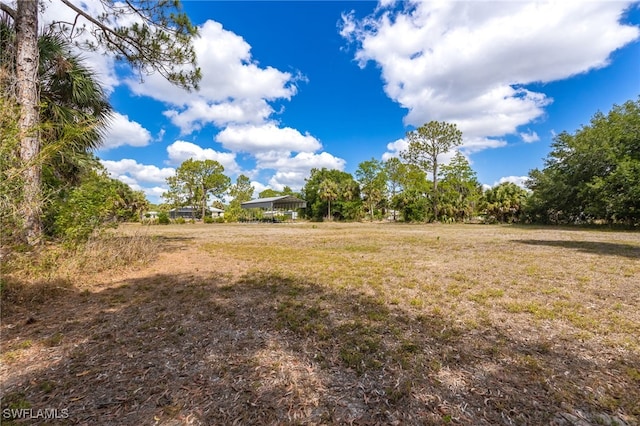 1320 21st St SW, Naples, FL 34117 - photo 39