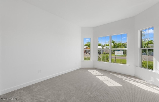 7319 Blue Salvia Dr, North Fort Myers, FL 33917 - photo 29