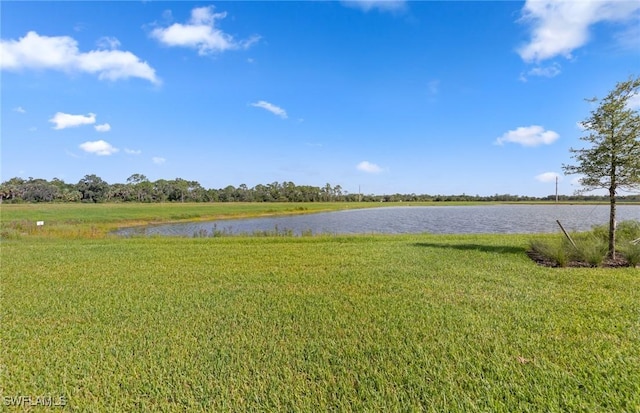 7319 Blue Salvia Dr, North Fort Myers, FL 33917 - photo 40