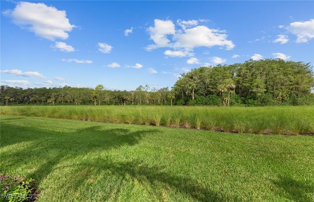 5693 Mayflower Way W Unit 1101, Ave Maria, FL 34142 - photo 28