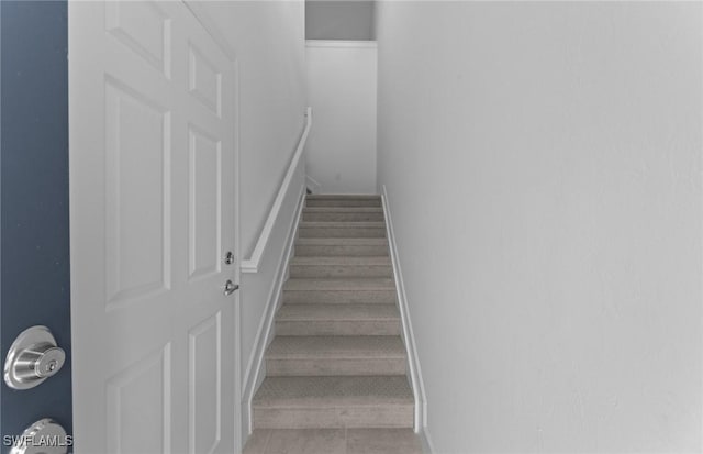 5693 Mayflower Way W Unit 1101, Ave Maria, FL 34142 - photo 6