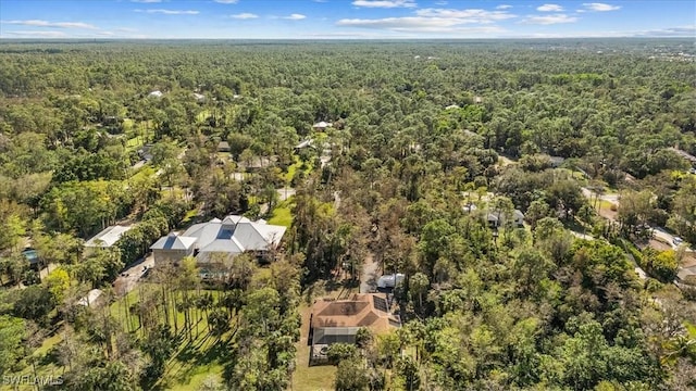 5311 Hickory Wood Dr, Naples, FL 34119 - photo 31