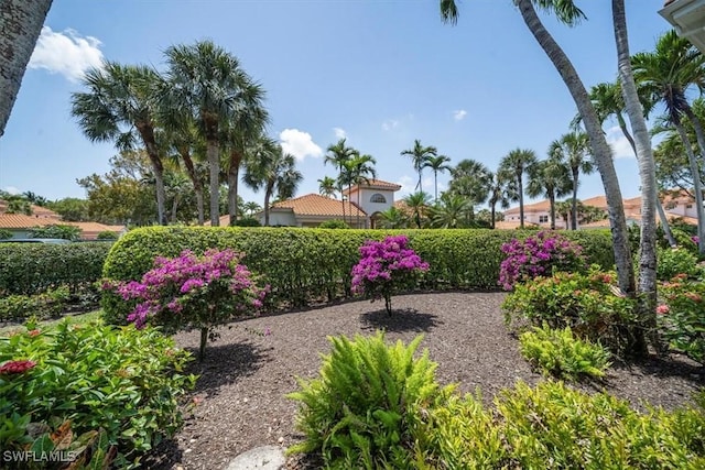 2387 Terra Verde Ln Unit 2387, Naples, FL 34105 - photo 31