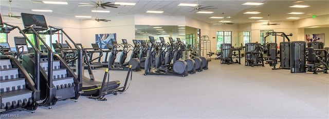 2387 Terra Verde Ln Unit 2387, Naples, FL 34105 - photo 48