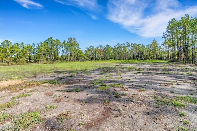4119 43rd Ave NE, Naples, FL 34120 - view of street featuring a wooded view