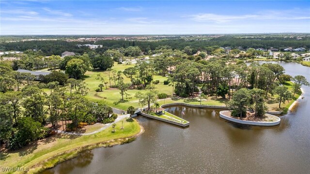 22691 Island Lakes Dr, Estero, FL 33928 - photo 40