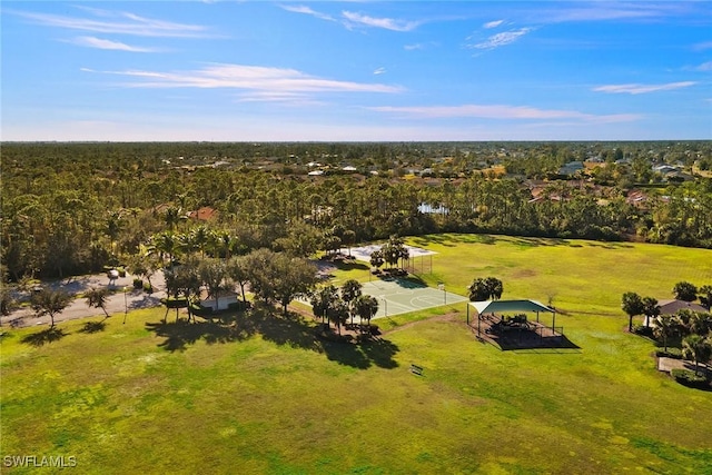 2575 Laurentina Ln, Cape Coral, FL 33909 - photo 35